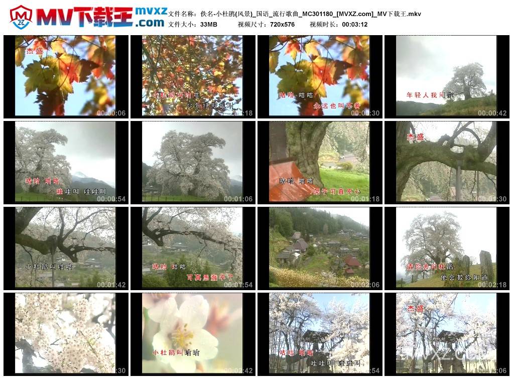 佚名-小杜鹃(风景)_国语_流行歌曲_MC301180